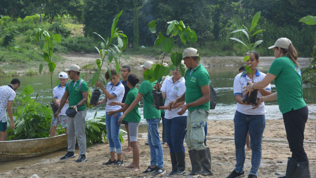 Voluntarios de Banasan S.A.S y la comunidad sembrando árboles en la reforestación del río Guachaca.