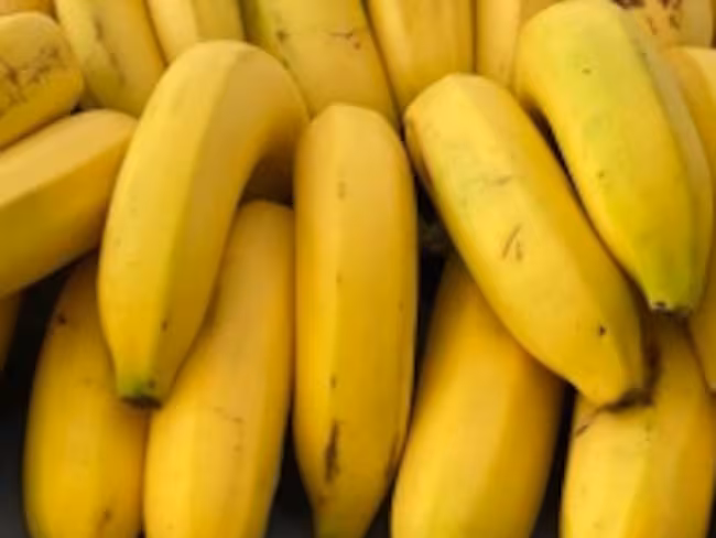 Pequeños productores de banano recibiendo apoyo de Banasan S.A.S para exportar su fruta desde Santa Marta